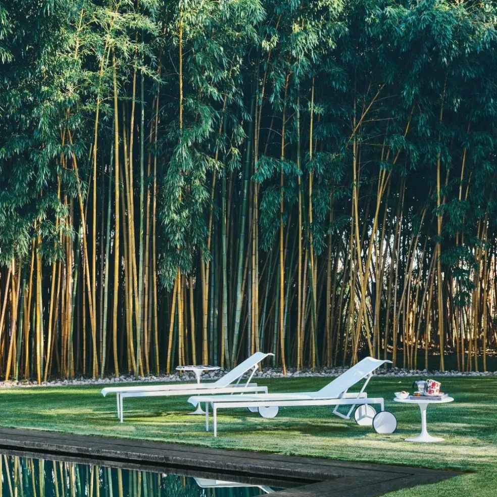 1966-42 Richard Schultz Sonnenliege