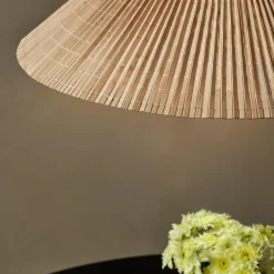 A1972 Pendelleuchte mit Gegengewicht