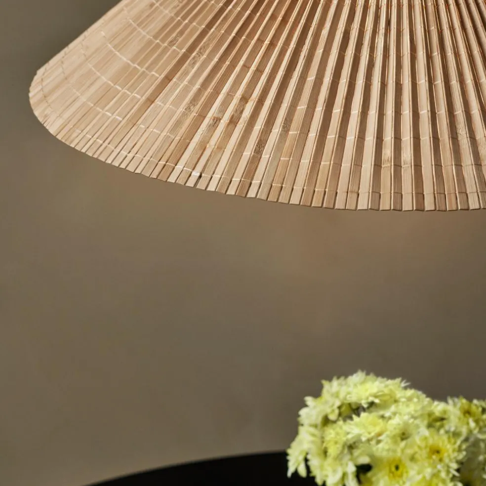 A1972 Pendelleuchte mit Gegengewicht