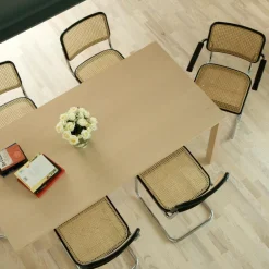 Aktionsset S 32 V Freischwinger Stuhl + Fell