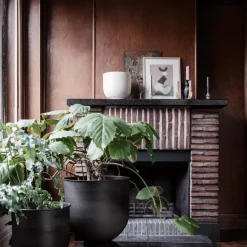 Alza Champagnerkühler