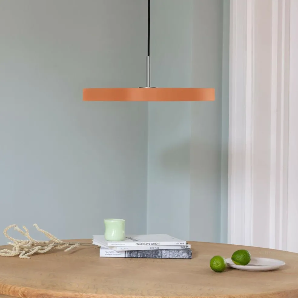 Asteria Micro LED Pendelleuchte V2 Stahl