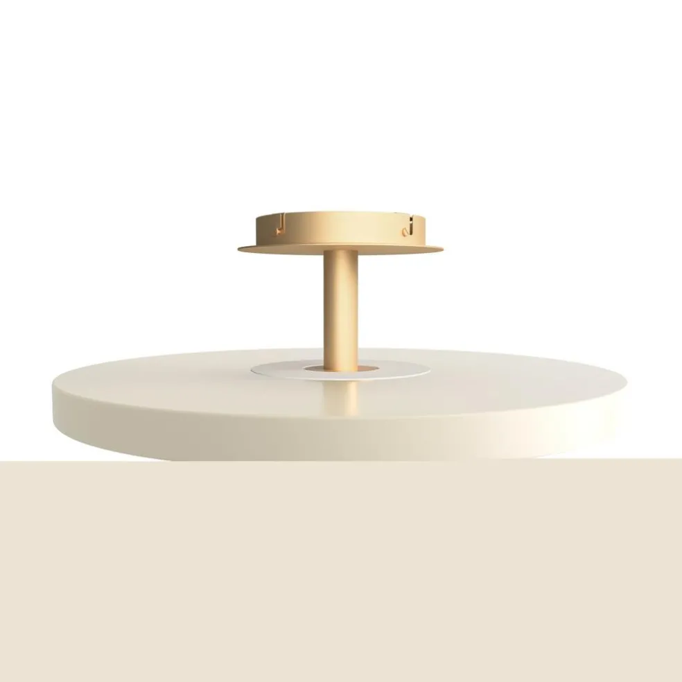 Asteria Up LED Deckenleuchte L