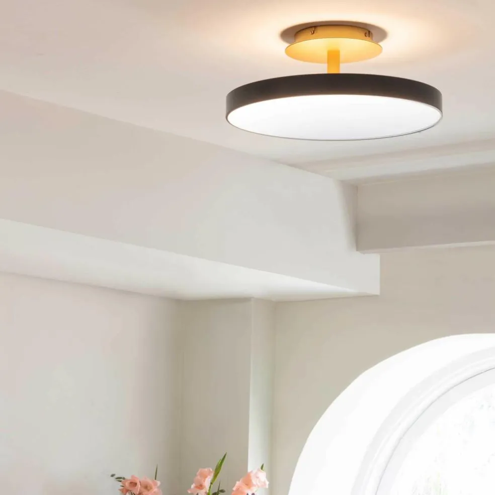 Asteria Up LED Deckenleuchte M