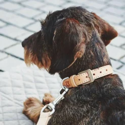 Bergamo Hundehalsband SM