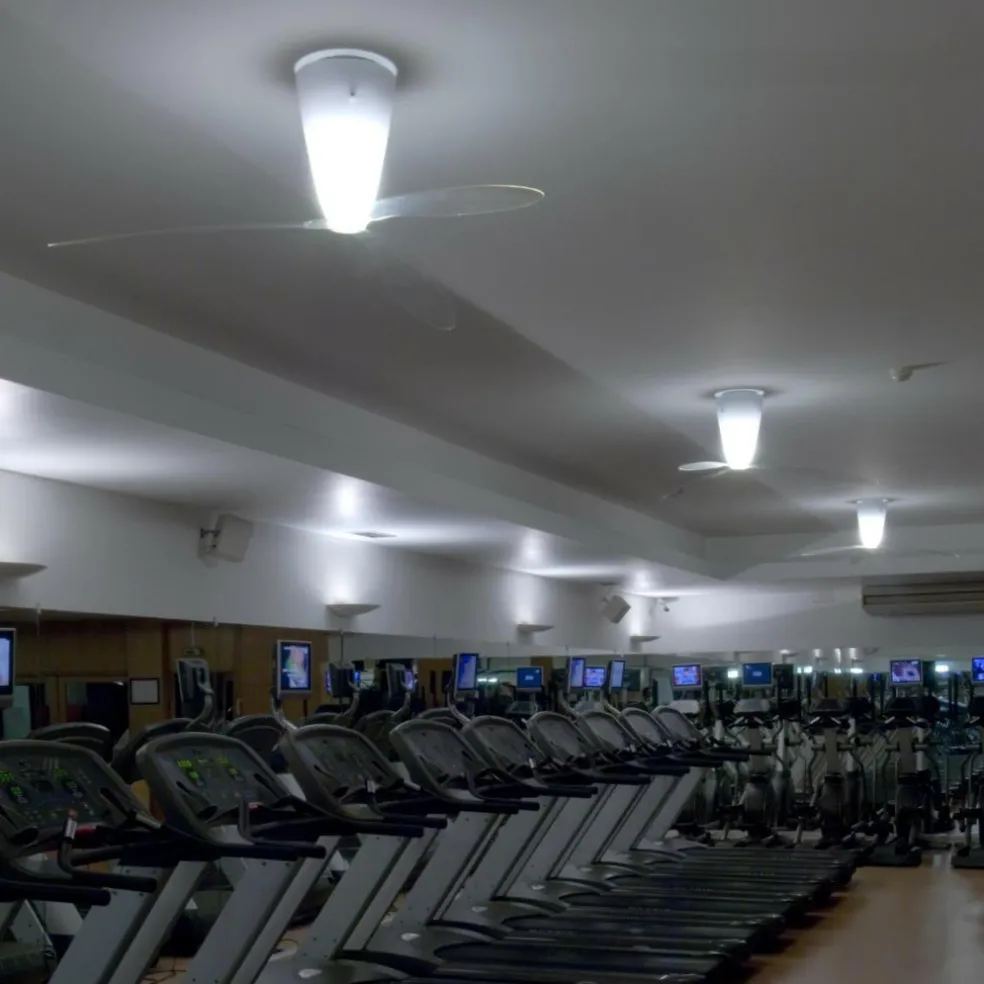 Blow D28 Deckenventilator und Deckenleuchte