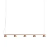 Blush Rail 5 LED Pendelleuchte
