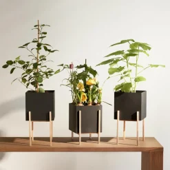 Botanic Pedestal Pflanzentopf