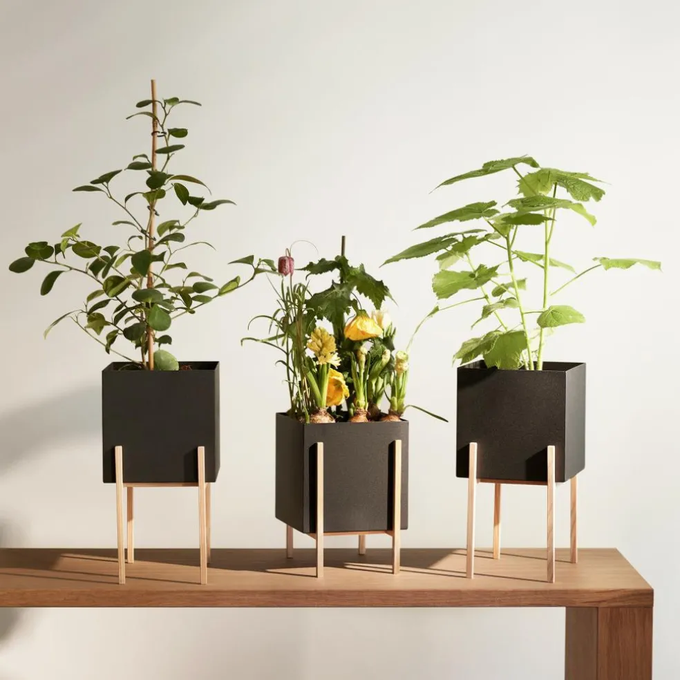 Botanic Pedestal Pflanzentopf