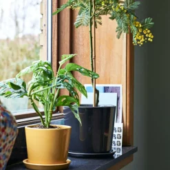 Botanical Family Untersetzer XL