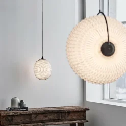 Caleo 1 Pendelleuchte