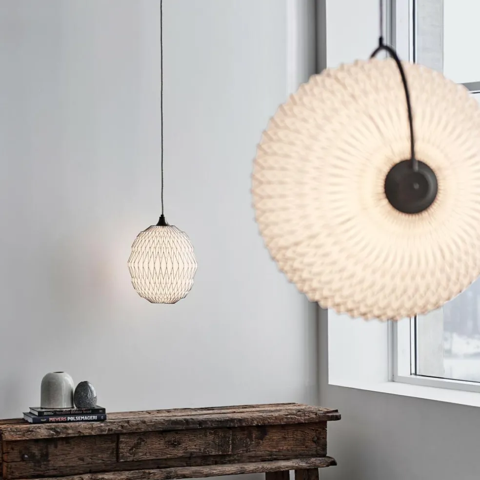 Caleo 1 Pendelleuchte