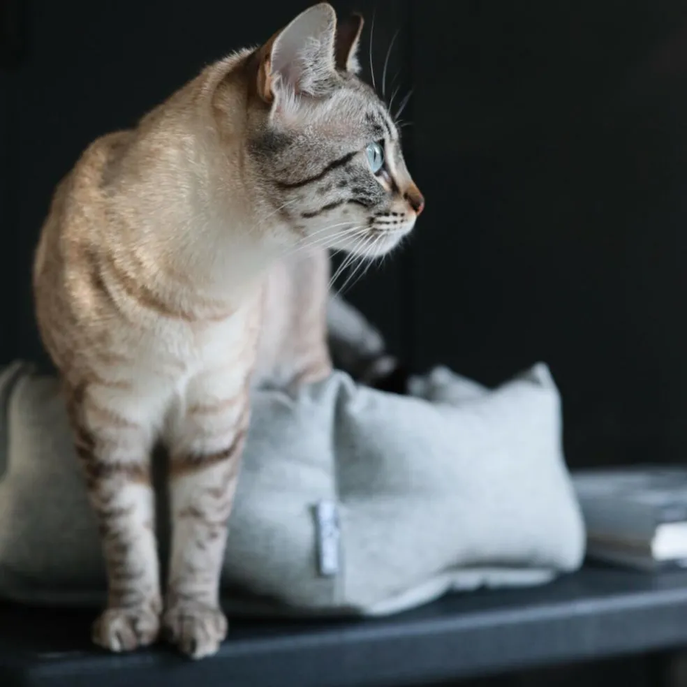 Calma Katzenbett Hexagon