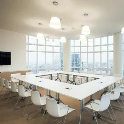 Catifa 46 0287 Armlehnstuhl einf. Kufe Chrom