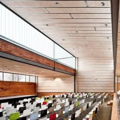 Catifa 46 0287 Armlehnstuhl zweif. Kufe Chrom