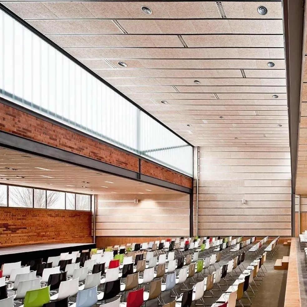 Catifa 46 0287 Armlehnstuhl zweif. Kufe Chrom