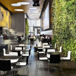 Catifa 46 0251 Stuhl zweifarbig Gestell Chrom