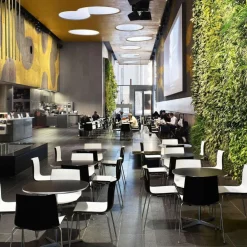 Catifa 46 0278 Stuhl zweifarbig Kufe Chrom