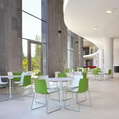 Catifa 46 0278 Stuhl zweifarbig Kufe Chrom