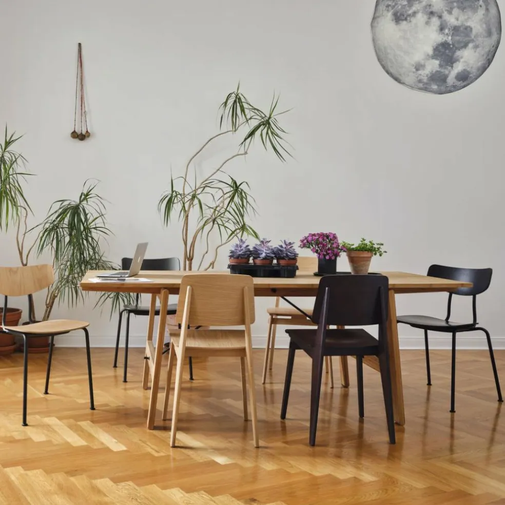 Chaise Tout Bois Stuhl