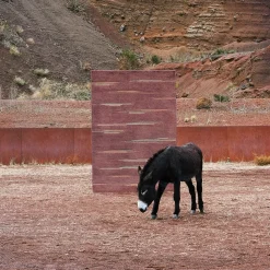Colorado Wollteppich 200x300cm