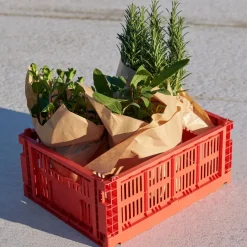 Colour Crate Korb recycelt M