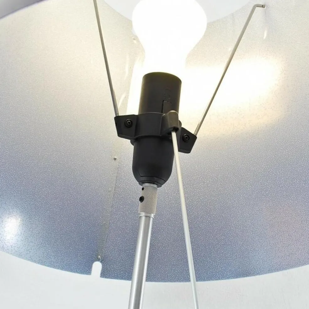 Costanza Parete Wandleuchte Fix/An-Aus