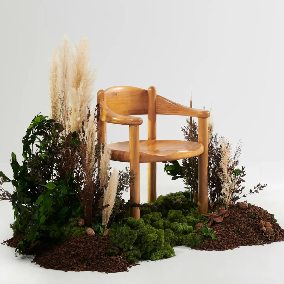 Daumiller Dining Armlehnstuhl