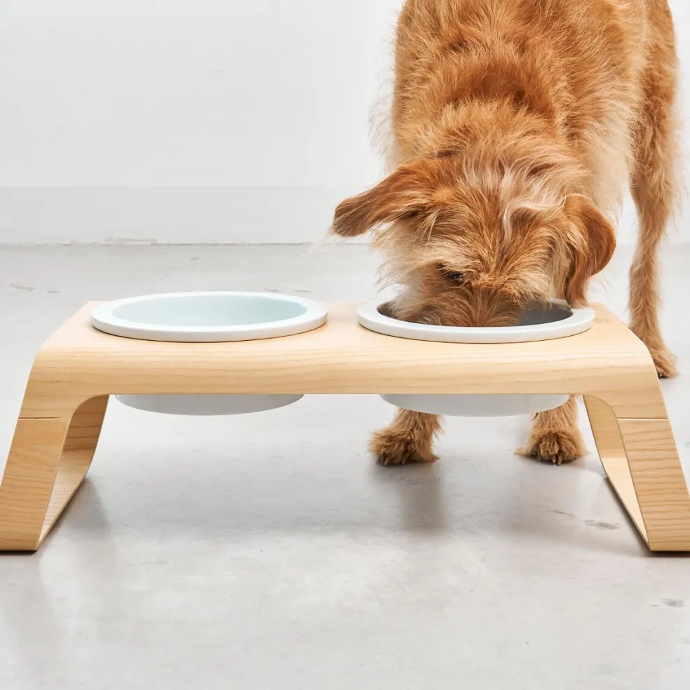 Desco Hundenapfständer Holz mit Porzellannäpfen M
