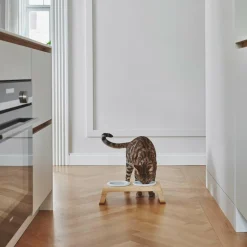 Desco Katzenapfständer Holz mit Porzellannäpfen