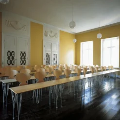 Die Ameise™ Stuhl Naturfurnier