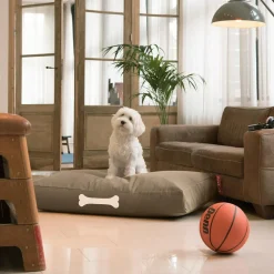 Doggielounge Hundebett L 120x75cm Canvas