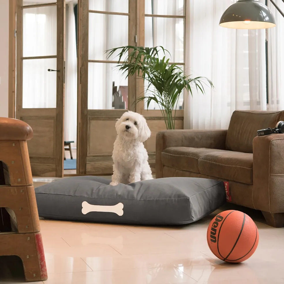 Doggielounge Hundebett L 120x75cm Canvas