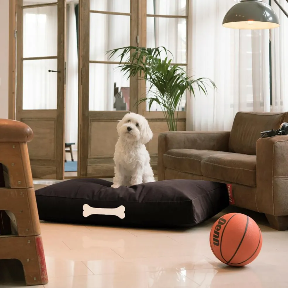 Doggielounge Hundebett L 120x75cm Canvas