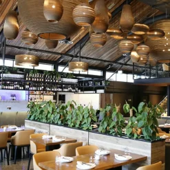 Drop 18 Pendelleuchte