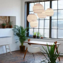 Eames Plastic Armchair DAR Gestell verchromt