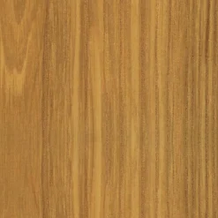 Eames Plastic Armchair DAW Gestell Esche