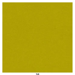 Eames Plastic Chair Sitzauflage