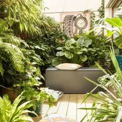 El Pecho Kissentruhe L