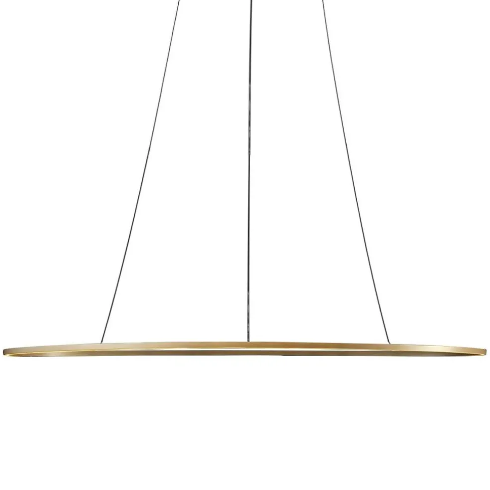 Ellisse Mega Downlight LED Pendelleuchte