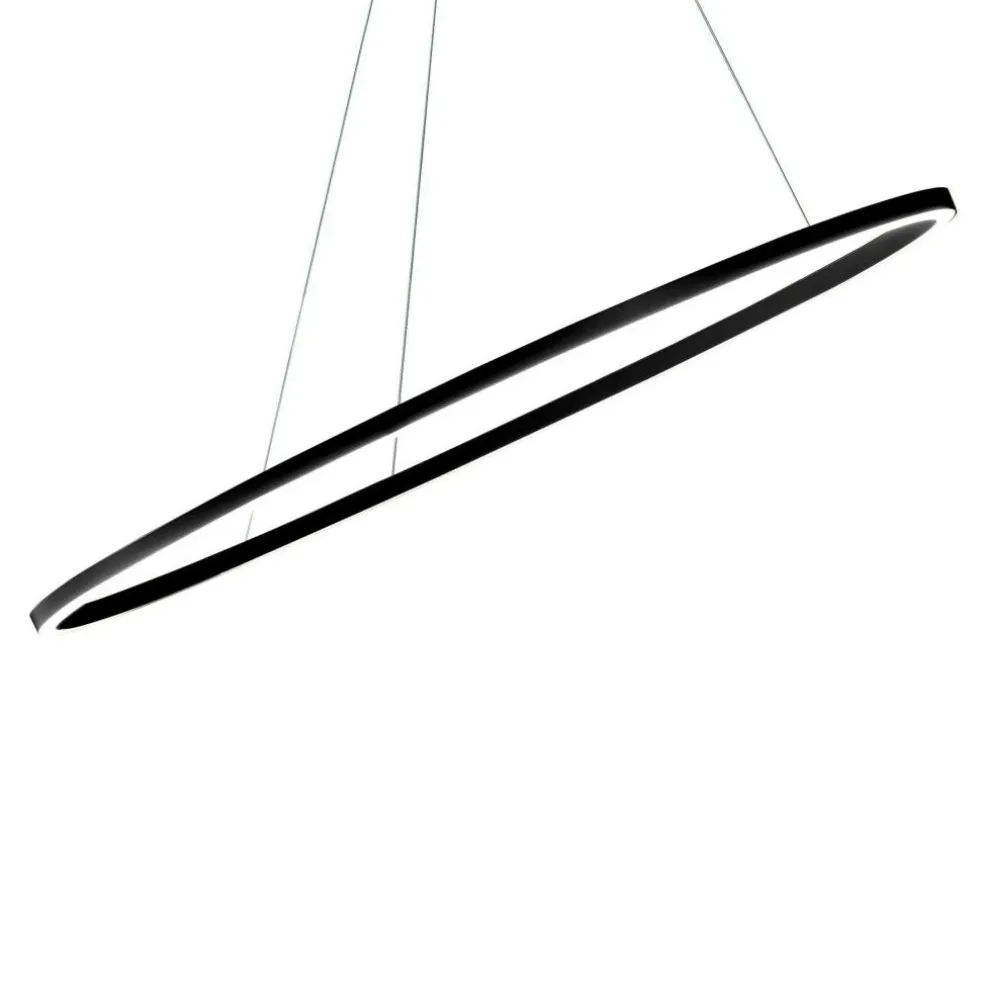 Ellisse Minor Downlight LED Pendelleuchte