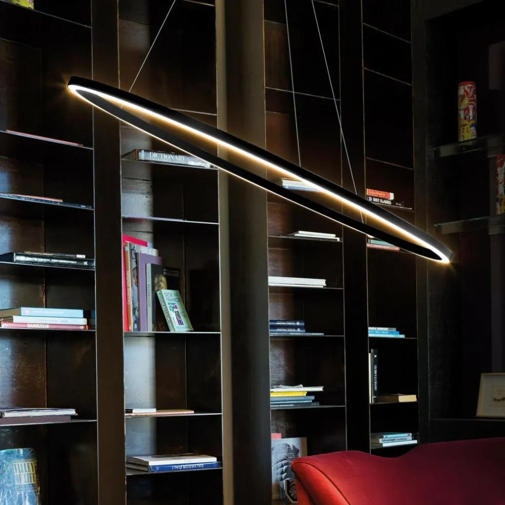 Ellisse Minor Downlight LED Pendelleuchte