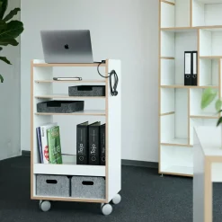 Fahrbar Rollwagen mit Fächern dreifach