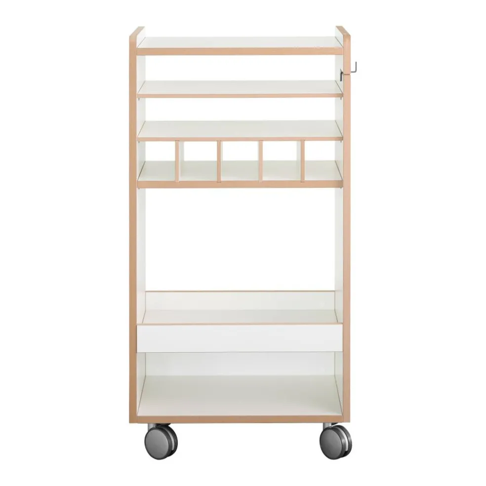 Fahrbar Rollwagen mit Flascheneinsatz liegend