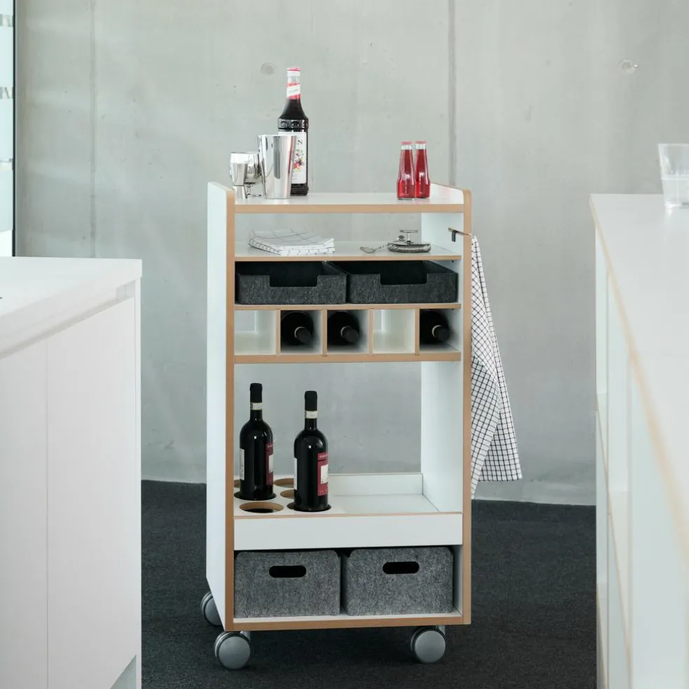 Fahrbar Rollwagen mit Flascheneinsatz liegend