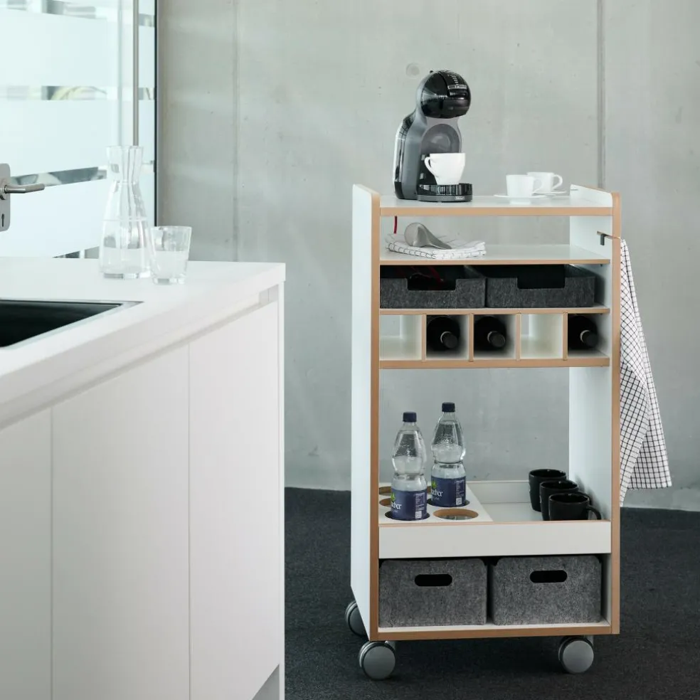 Fahrbar Rollwagen mit Flascheneinsatz liegend