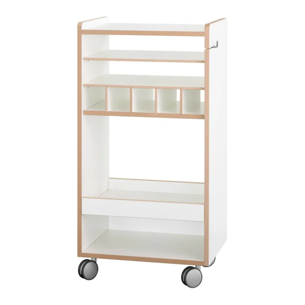 Fahrbar Rollwagen mit Flascheneinsatz liegend