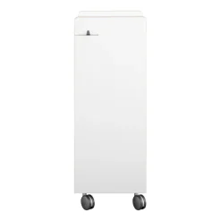 Fahrbar Rollwagen mit Flascheneinsatz liegend