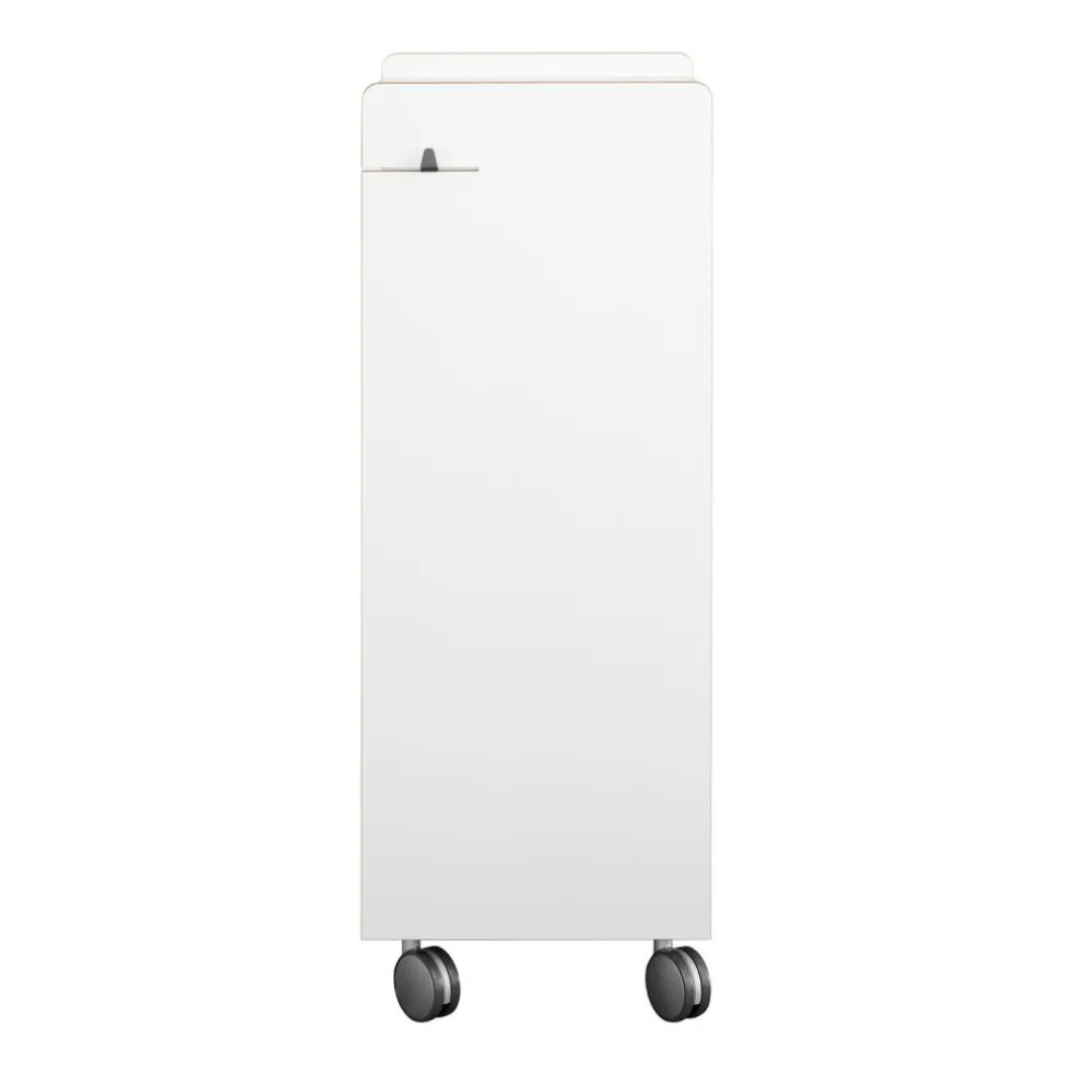 Fahrbar Rollwagen mit Flascheneinsatz liegend