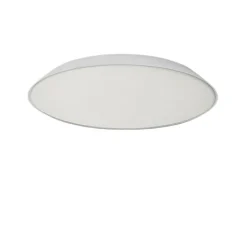 Febe LED Wandleuchte/ Deckenleuchte